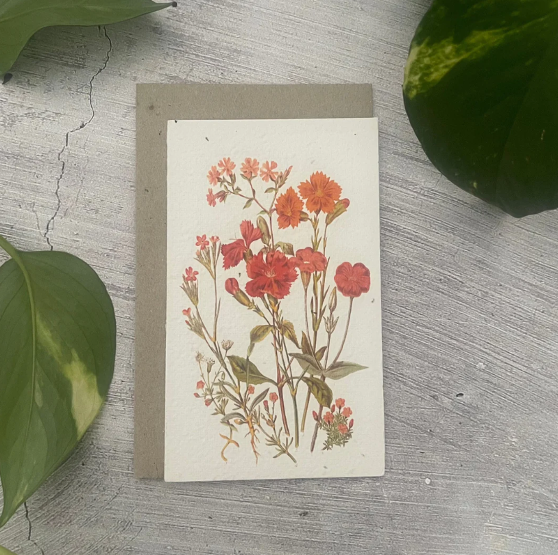 Wildflower Card